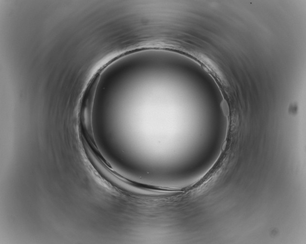 X0000091220854200708091407