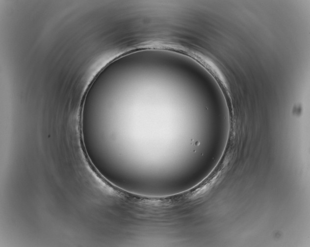 X0000091220855200708091407