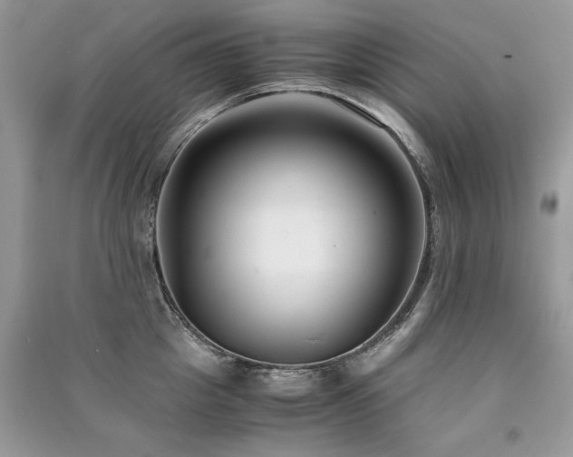 X0000091220857200708091407