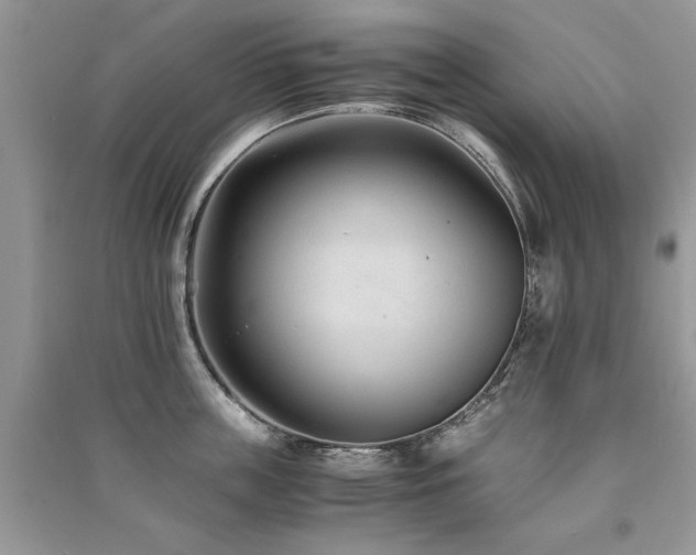 X0000091220859200708091407