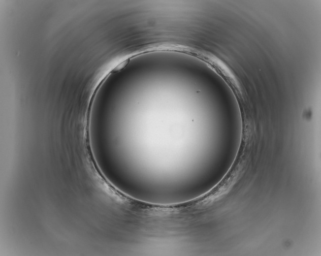 X0000091220860200708091407