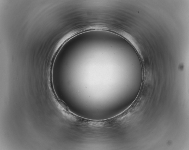 X0000091220861200708091407