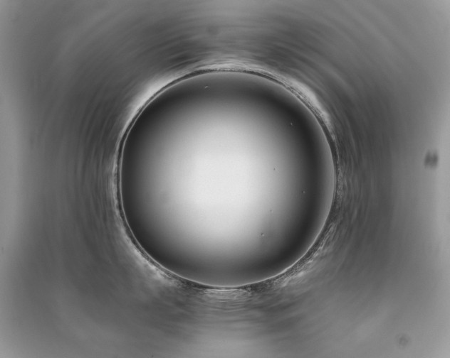 X0000091220863200708091407