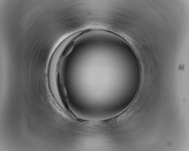 X0000091220864200708091407