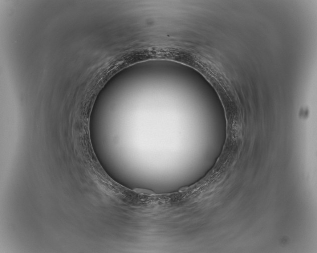 X0000091220865200708091406