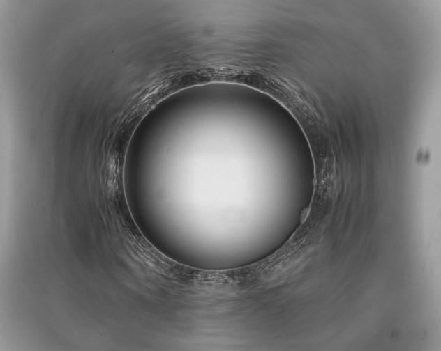 X0000091220866200708091406