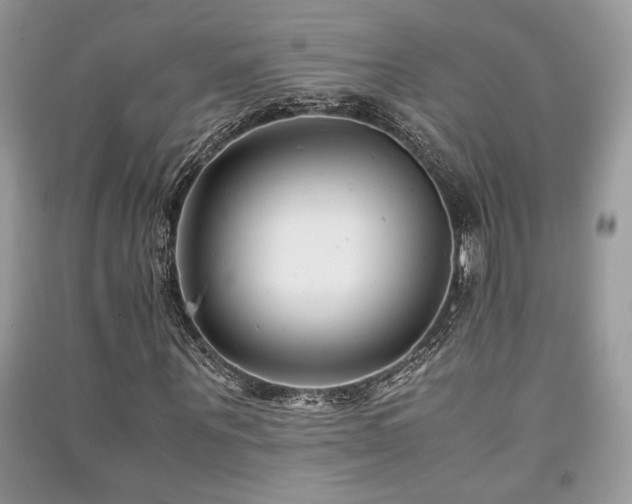 X0000091220867200708091406