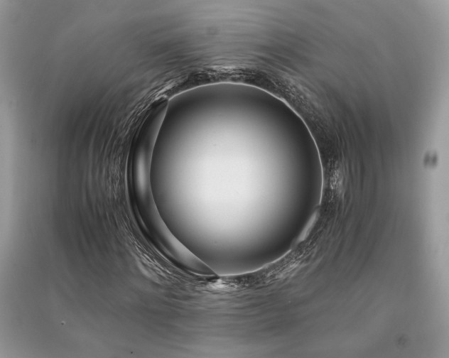 X0000091220868200708091406