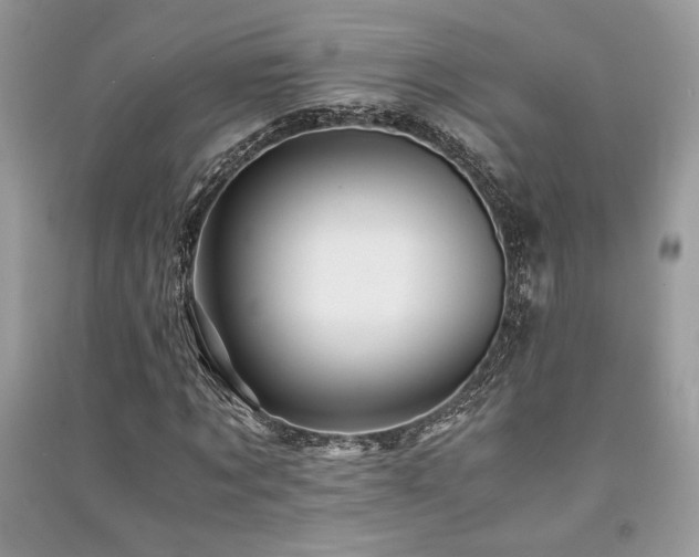 X0000091220869200708091406