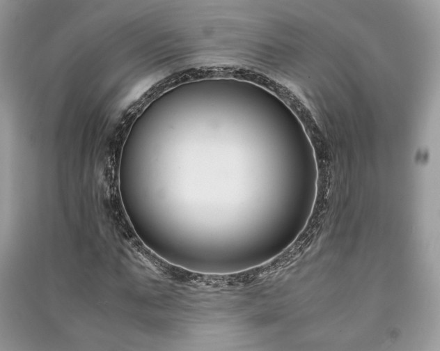 X0000091220871200708091406