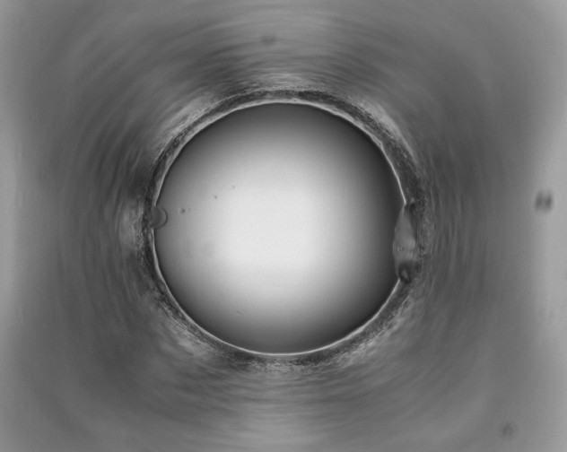 X0000091220873200708091406