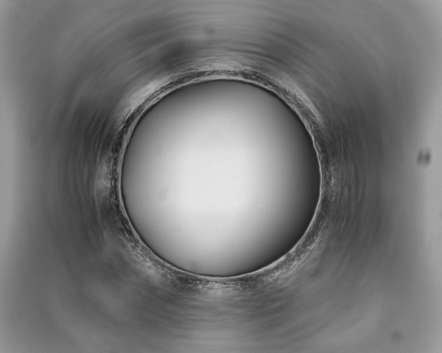X0000091220874200708091406