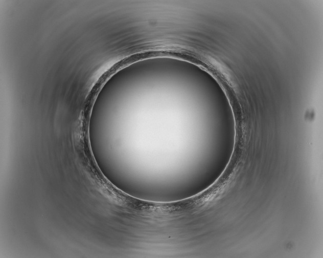 X0000091220875200708091406