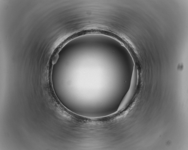 X0000091220877200708091406