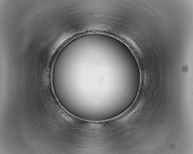 X0000091220878200708091406