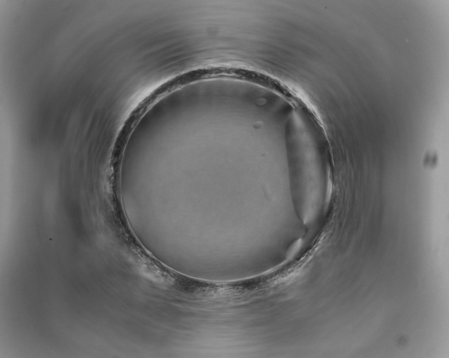 X0000091220879200708091406