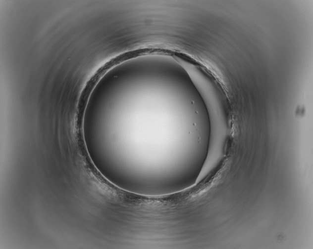 X0000091220880200708091406