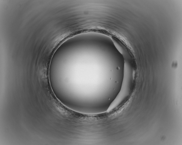 X0000091220881200708091406