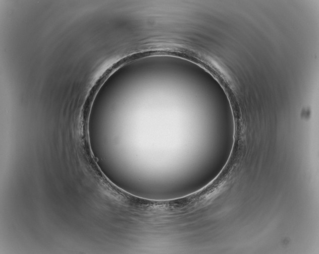 X0000091220883200708091406