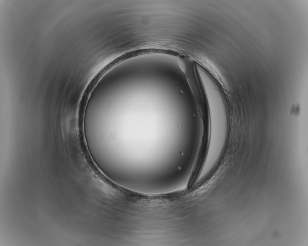 X0000091220884200708091406