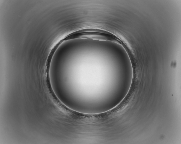X0000091220885200708091406