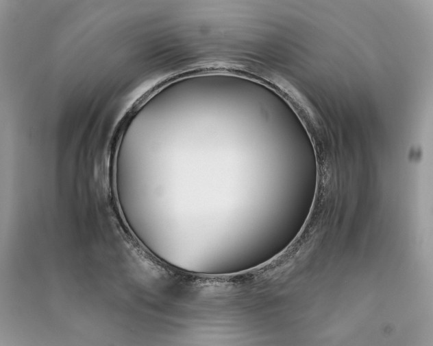 X0000091220886200708091406