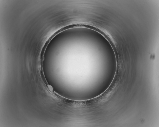 X0000091220887200708091406