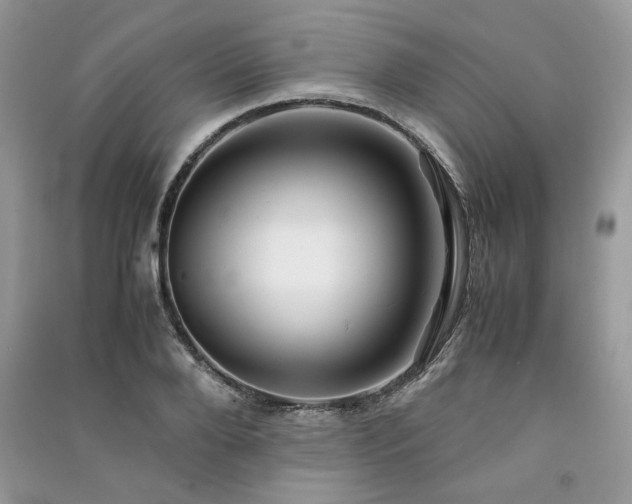 X0000091220888200708091406