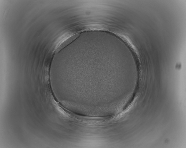 X0000091220889200708091406