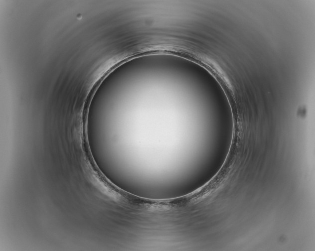 X0000091220890200708091406