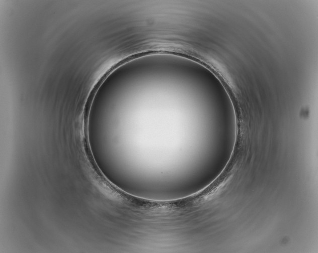 X0000091220891200708091406
