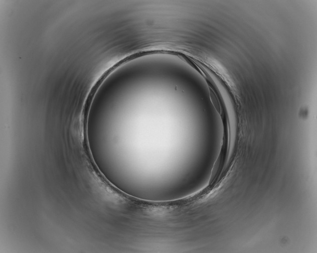 X0000091220892200708091406