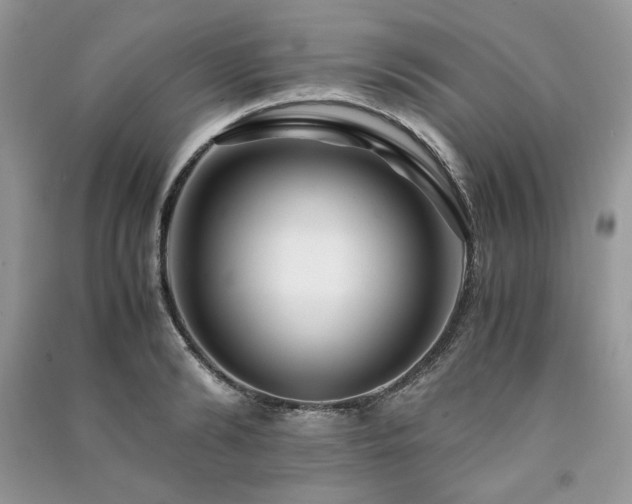 X0000091220894200708091406
