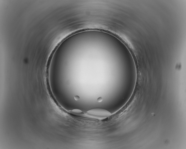 X0000091220895200708091406