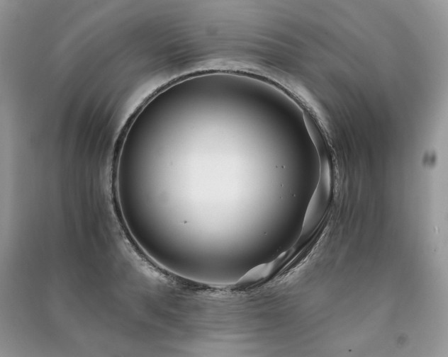 X0000091220896200708091406