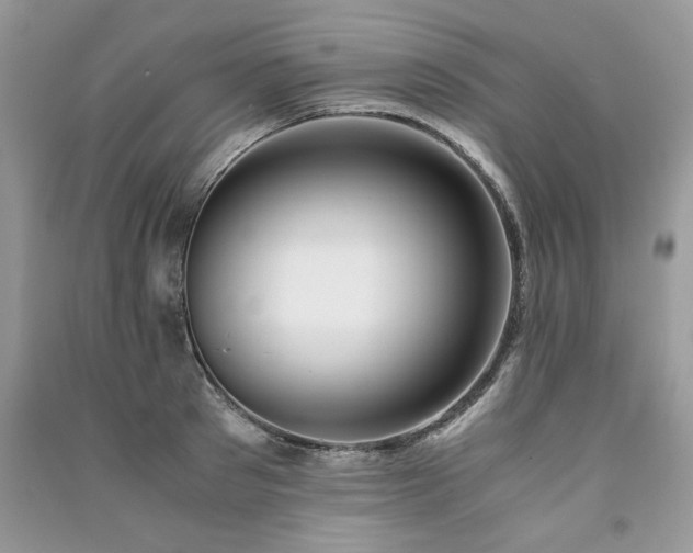 X0000091220897200708091406