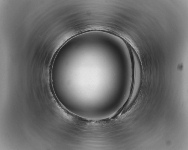 X0000091220898200708091406