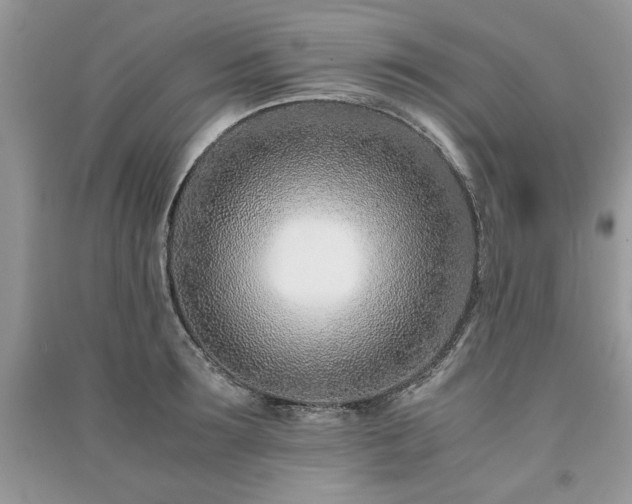 X0000091220899200708091406
