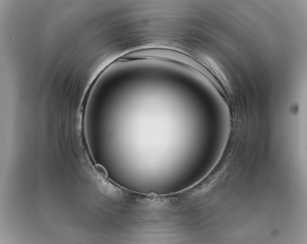 X0000091220900200708091406