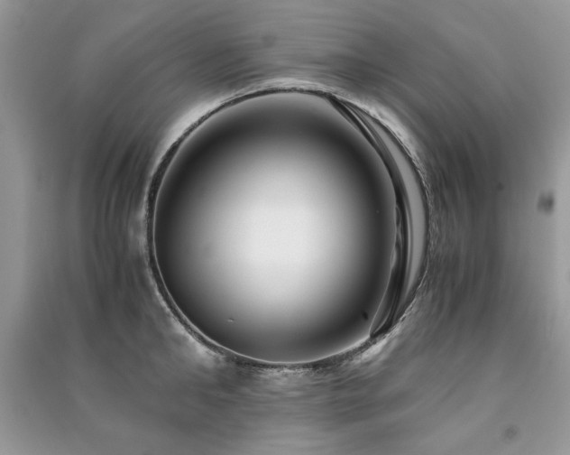 X0000091220902200708091406