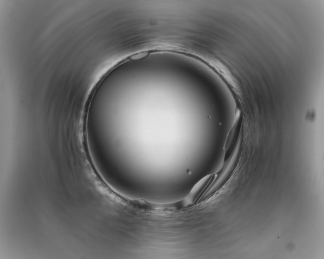 X0000091220904200708091406