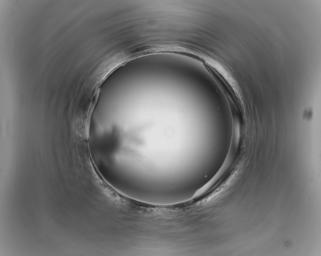 X0000091220905200708091406
