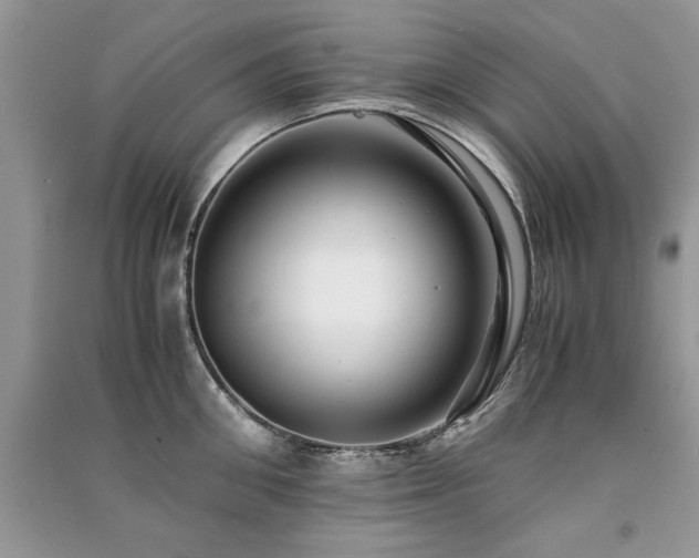 X0000091220906200708091406