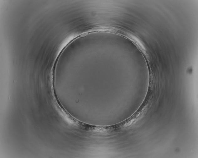 X0000091220907200708091406