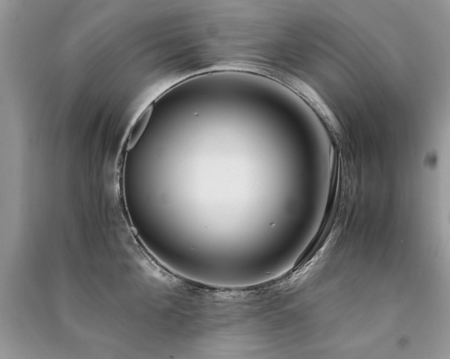 X0000091220908200708091406