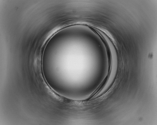 X0000091220910200708091406