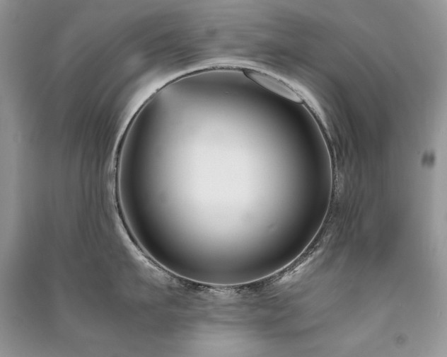 X0000091220911200708091406