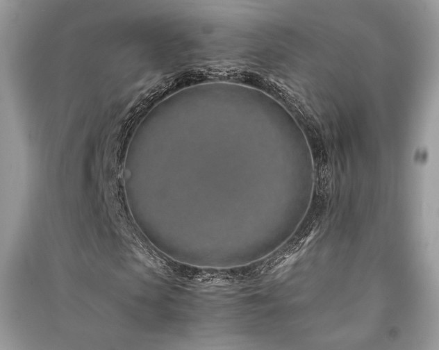 X0000091220913200708091405