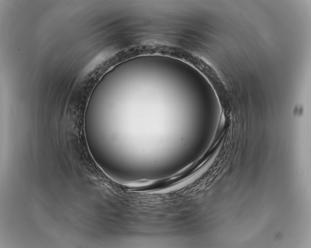 X0000091220919200708091405