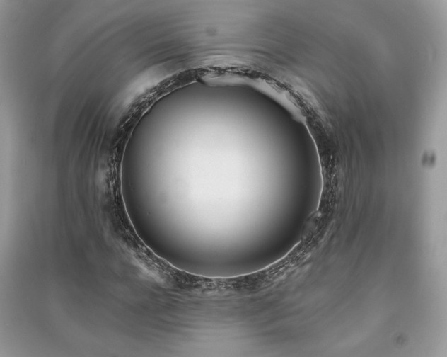 X0000091220920200708091405